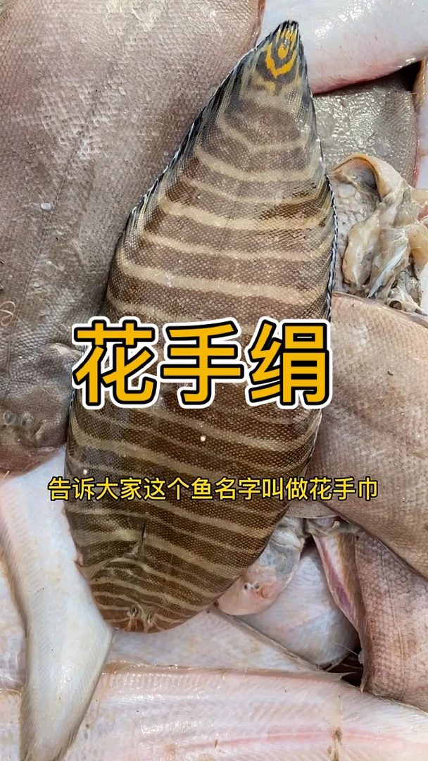 大连野生花手绢鱼净重4斤13条左右冷冻顺丰包邮