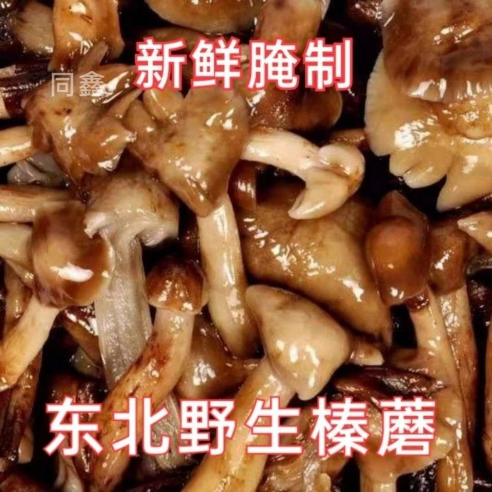 新鲜腌制榛蘑咸蘑菇东北特产野生榛蘑商用批发黑龙江今年新货500g