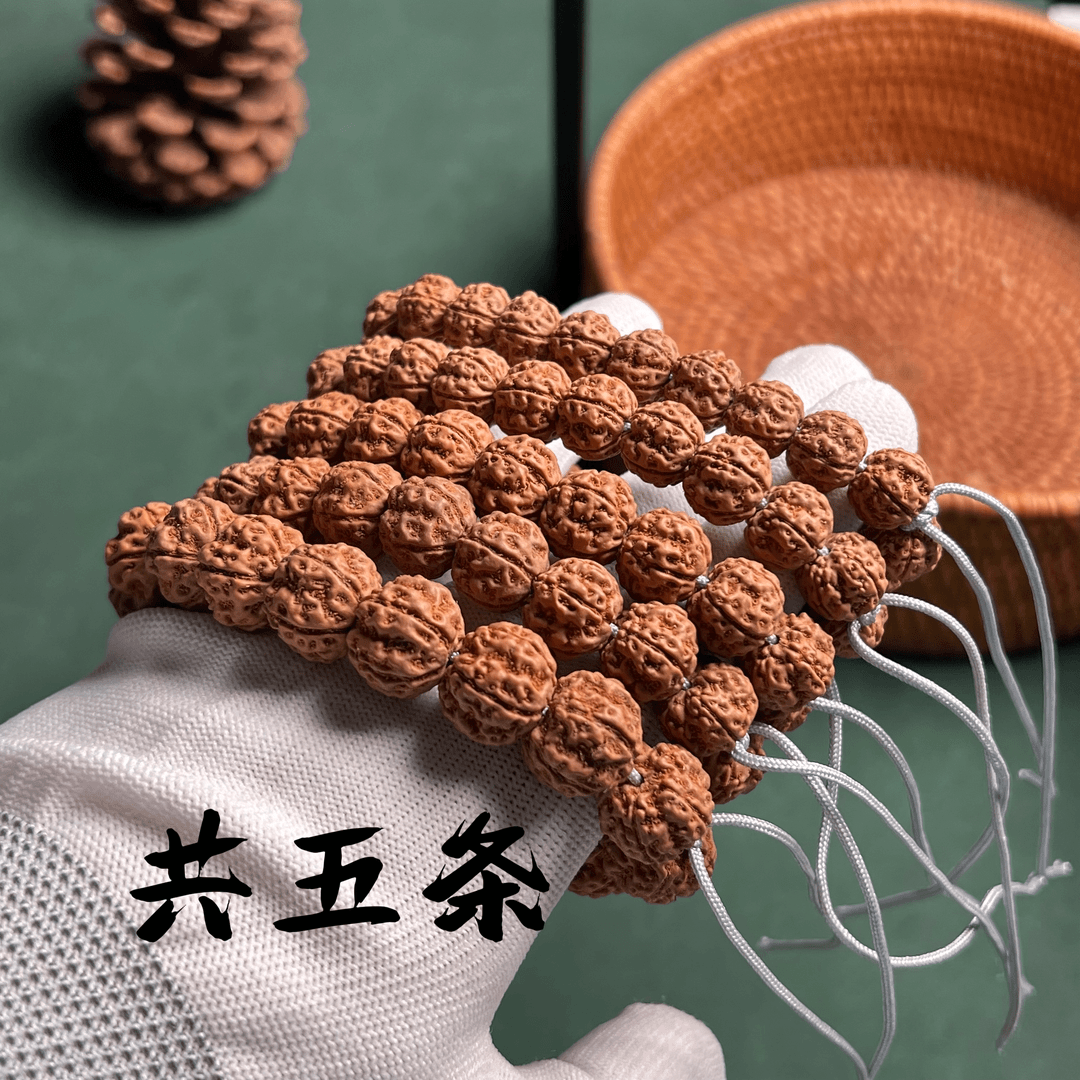 印尼勿里达老树未清理小金刚共五条，老戴安排不指定。