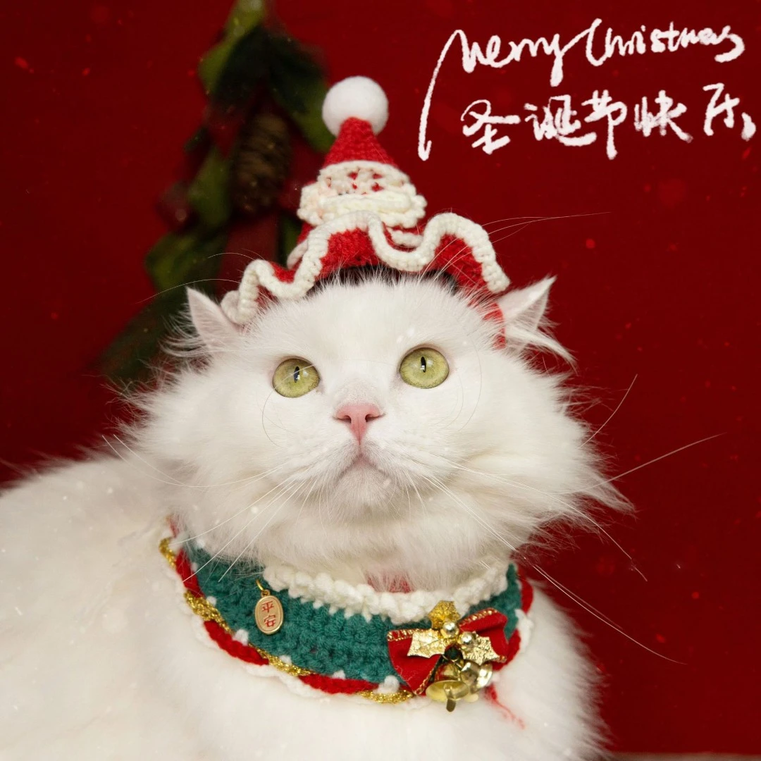 2023圣诞宠物手工钩织围脖 猫咪狗狗编织项圈 宠物挂饰可爱装饰品