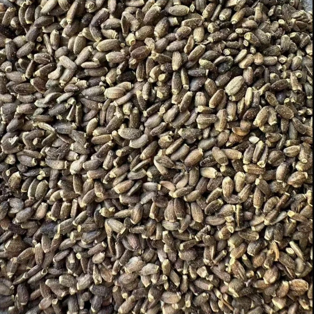 【浦】初级农产品【水·飞·蓟】500g 可搭配枸杞使用
