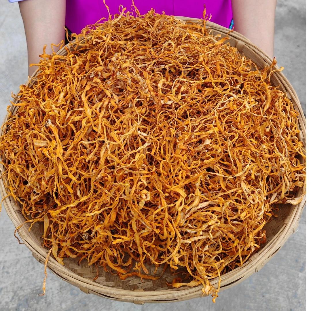 【姝】初级农产品【虫·草·花】250g 500g可搭配枸杞使用