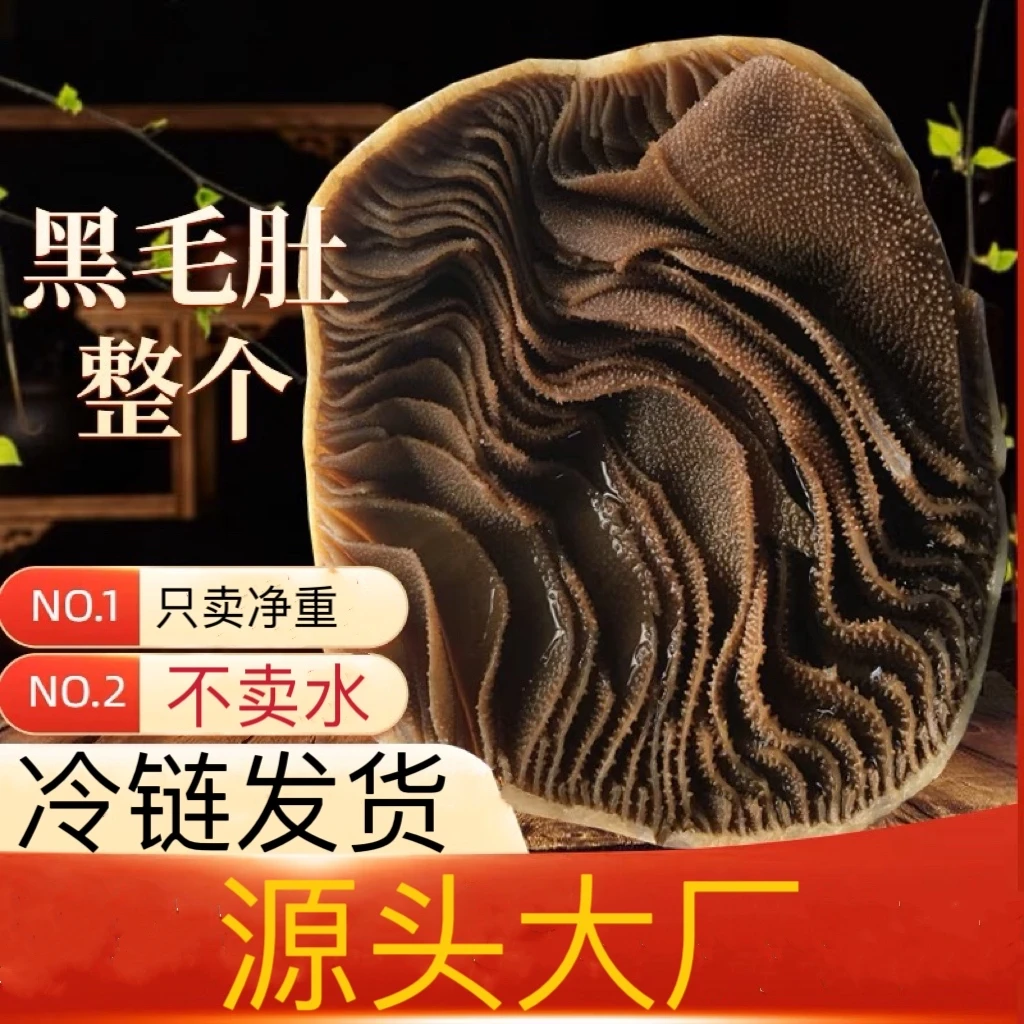 (净含量）整块带底板毛-肚整块新鲜脆爽3斤百叶大刀火锅配菜工厂1