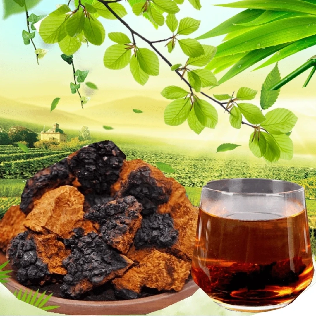 白桦茸桦树茸切块高品质桦褐孔菌颗粒小块泡水煮水桦树菇固体饮料
