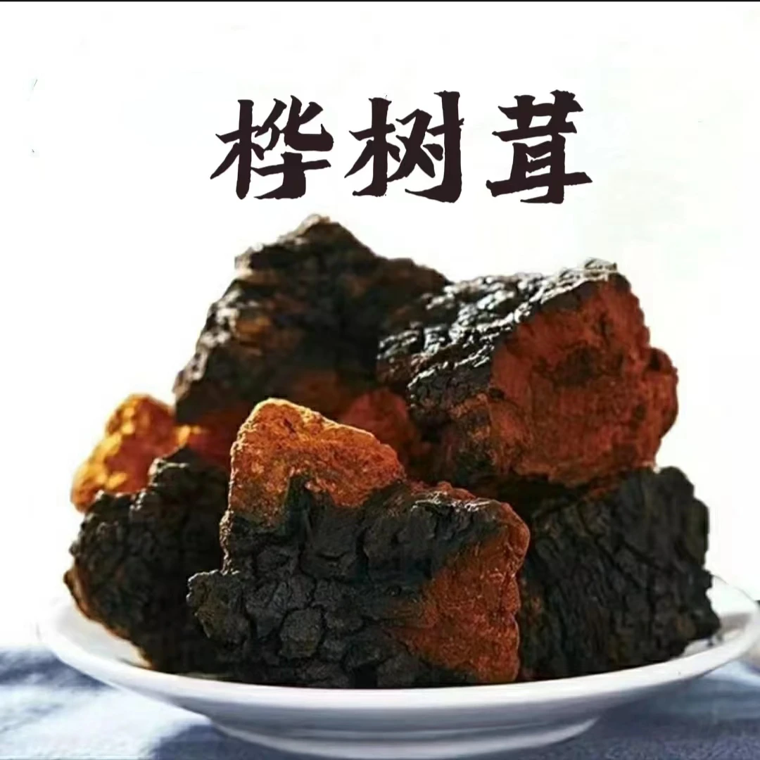 中俄边境桦树茸精品白桦茸煮水喝营养浓郁桦褐孔菌切块粉末颗粒