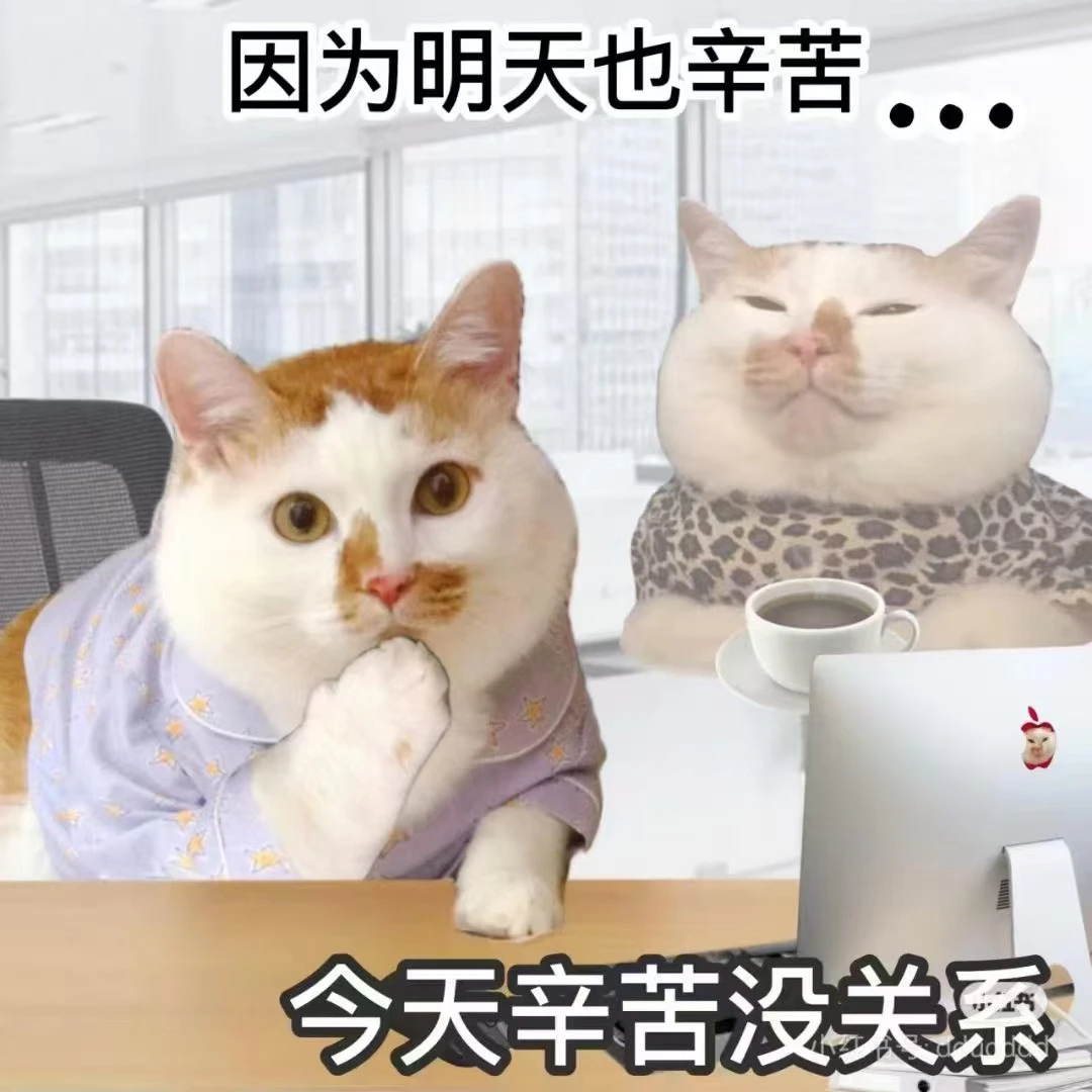 杨总副业 咩咩杂货铺 【衣服】