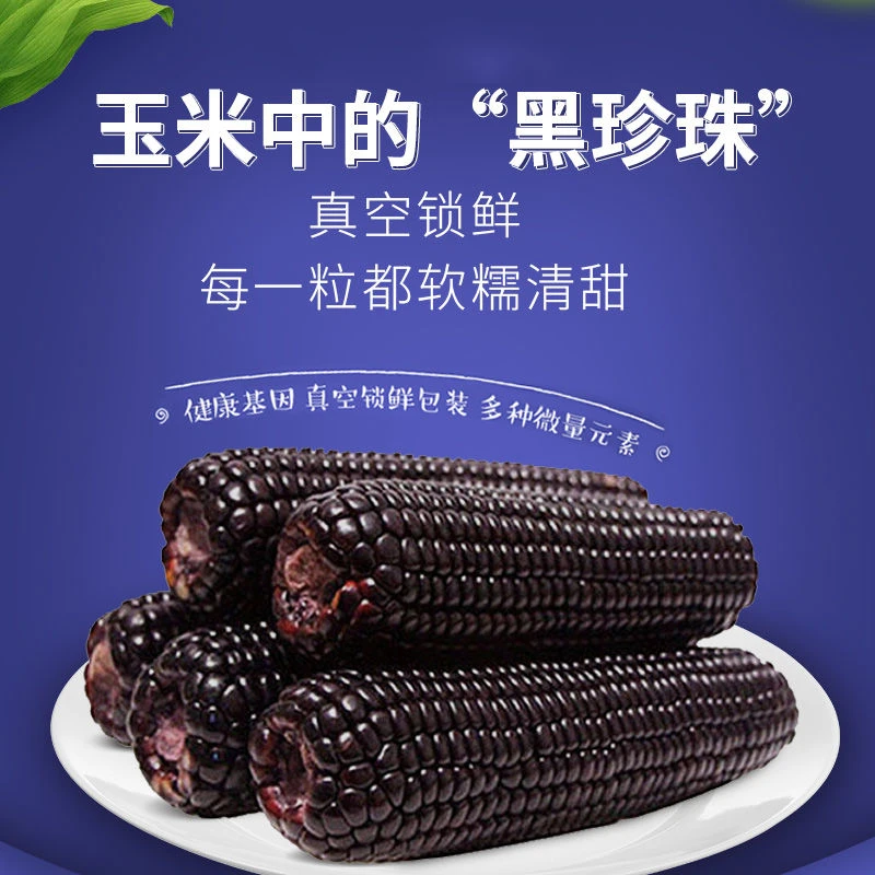 东北黑糯玉米拍8根送2根根大棒240-260克/根整箱5斤以上试吃两根