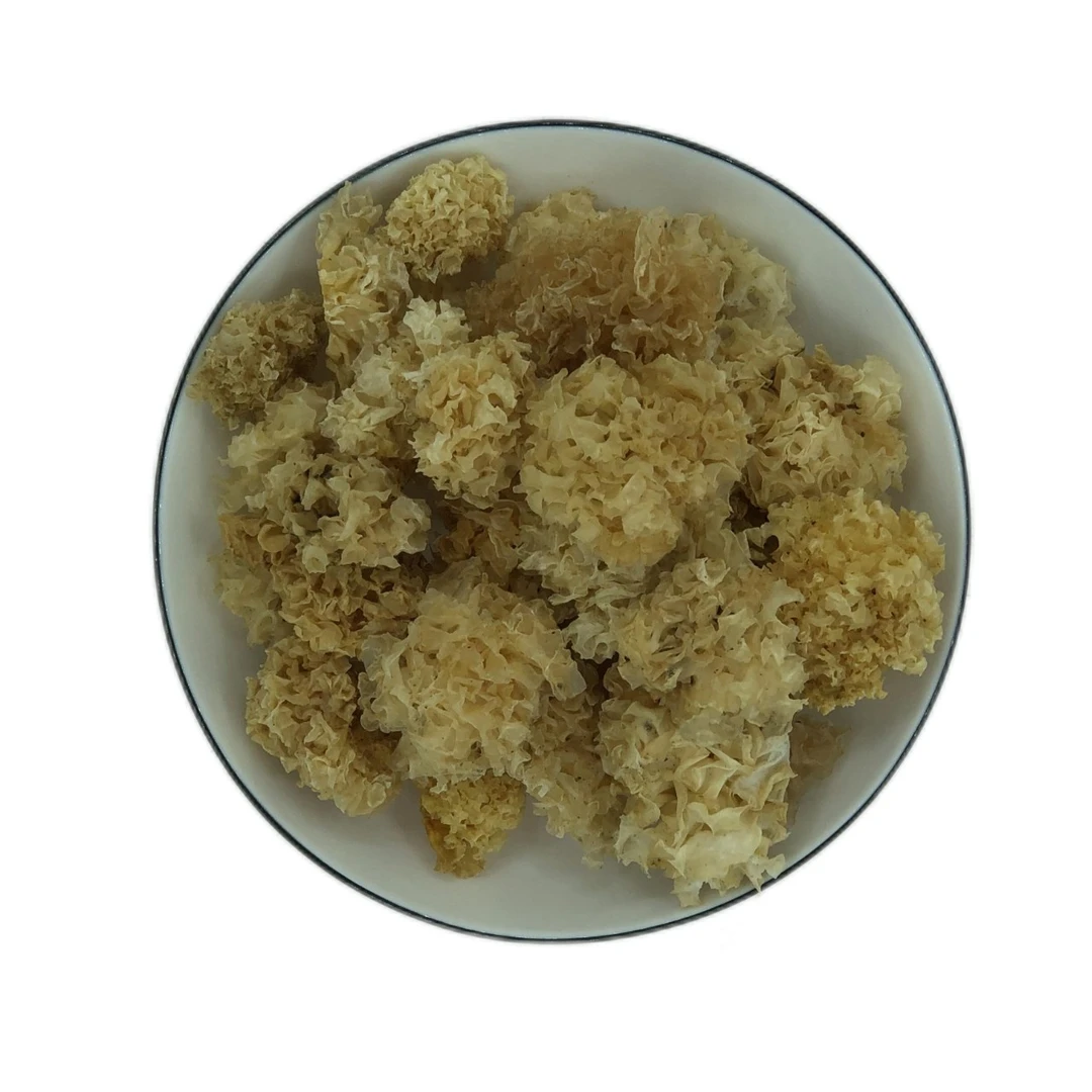 野外采摘本草银耳野银耳125g
