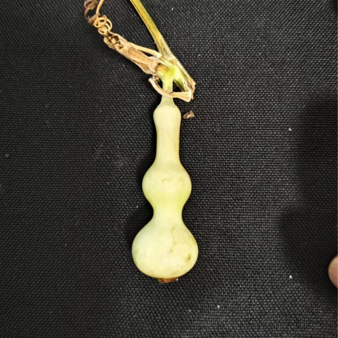 天然葫芦一物一拍（直播间为准，勿拍）