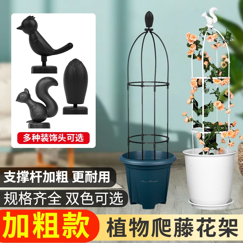 爬藤架花架植物攀爬架园艺支架藤本月季铁线莲支撑杆飘香藤玫瑰花