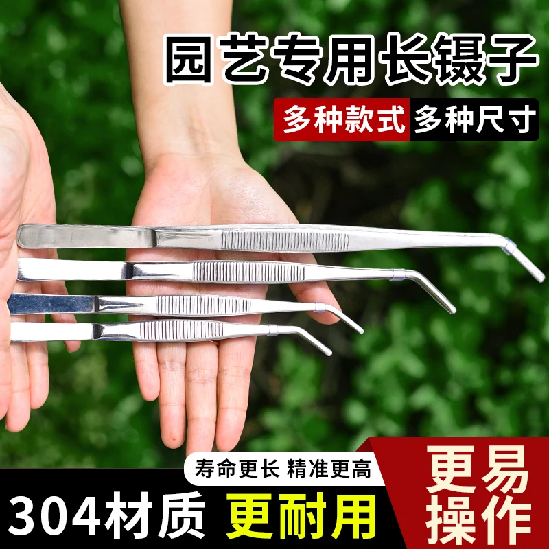 304不锈钢镊子加长加厚特长直圆头镊子园艺多肉专用种植工具夹子