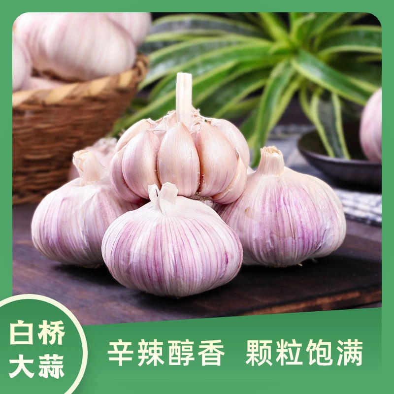 新干蒜大蒜新鲜紫皮蒜3斤装