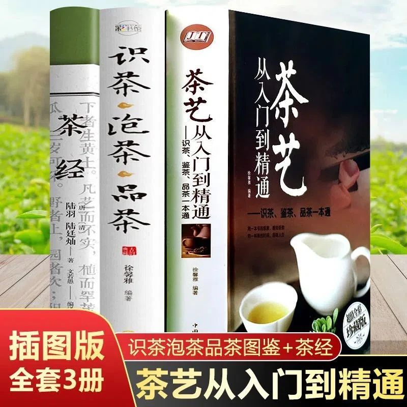 茶艺从入门到精通：识茶、鉴茶、品茶一本通（精装）