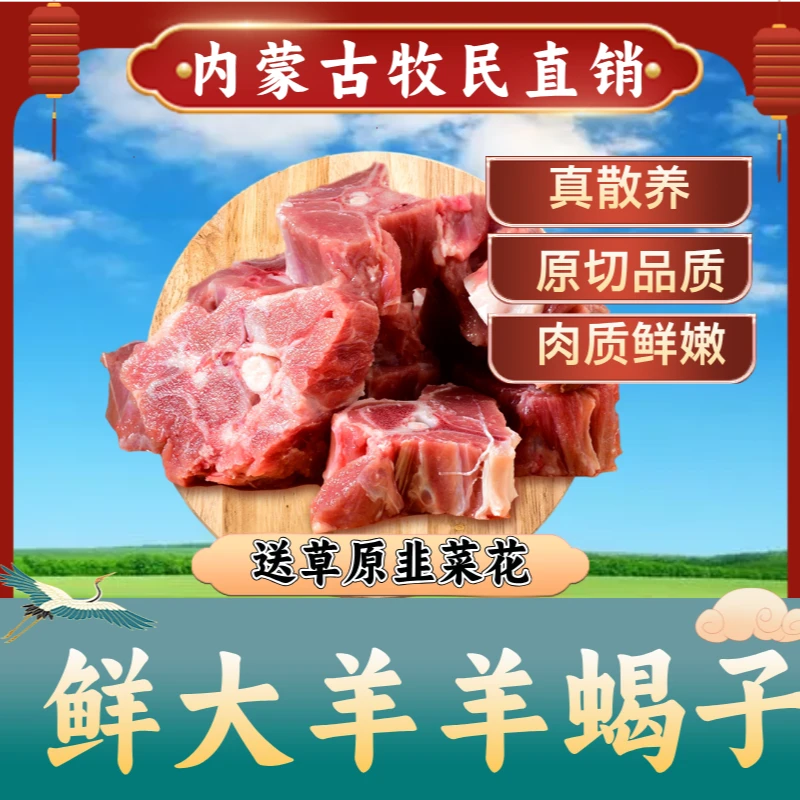 【新鲜大羊蝎子】锡盟牧场散养羊