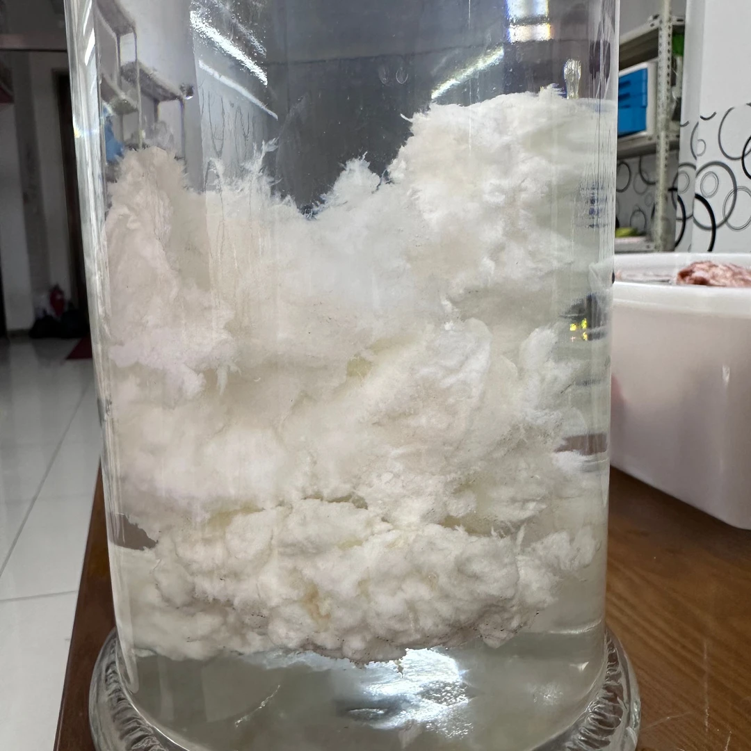 长白山木石缘石太岁