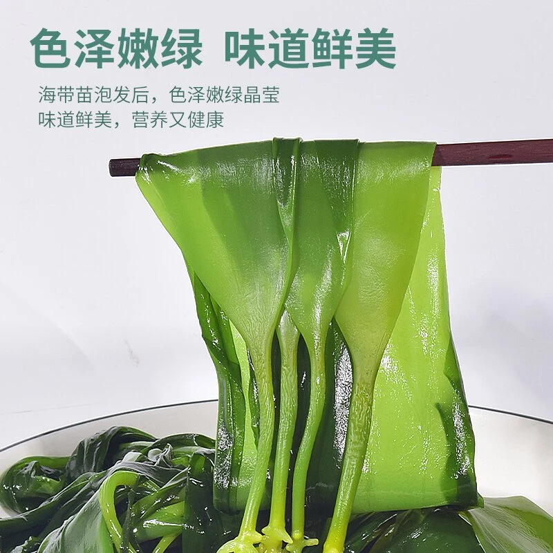 阿葛洋盐渍海带苗霞浦海带苗新鲜营养凉拌火锅麻辣烫食材鲜嫩脆爽