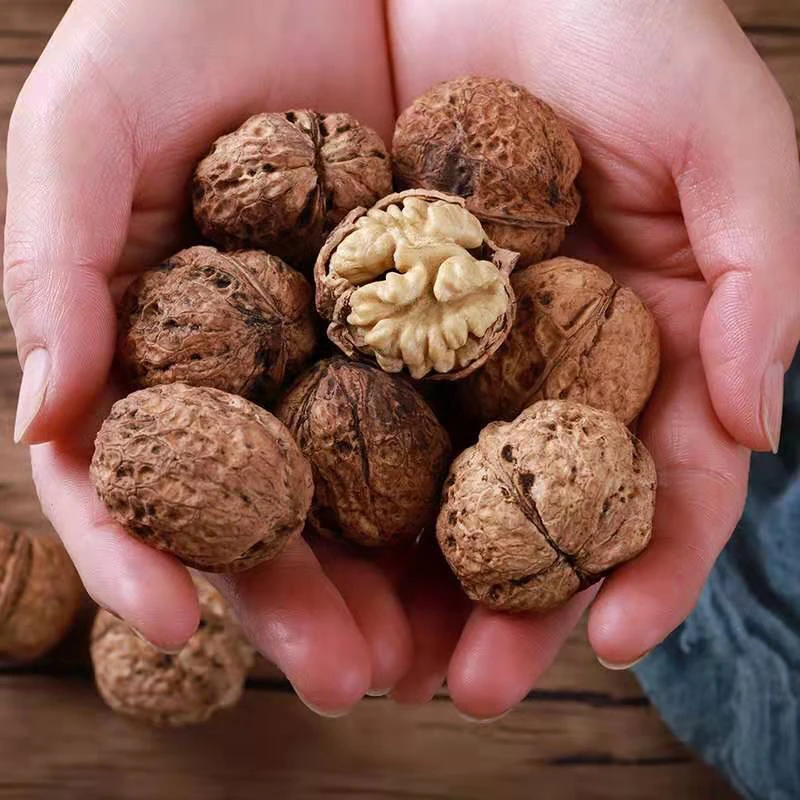 当季新货新核桃老树山核桃老树核桃野生核桃山核桃