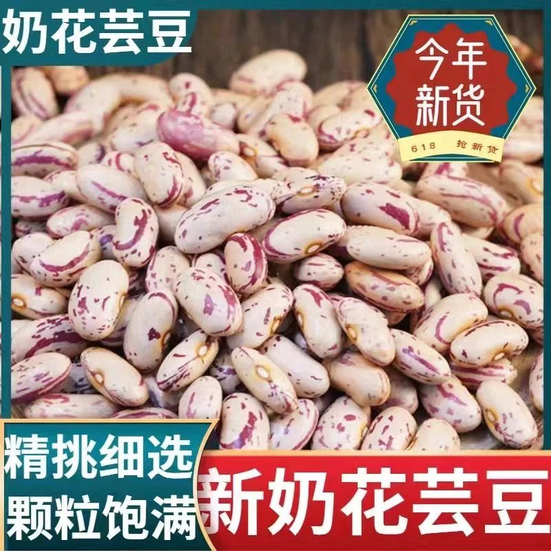 贵州2024年新奶花豆奶白花芸豆大碴粥豆 包豆馅大白芸豆东北饭豆