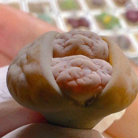 【闪购商品】25663，保小花