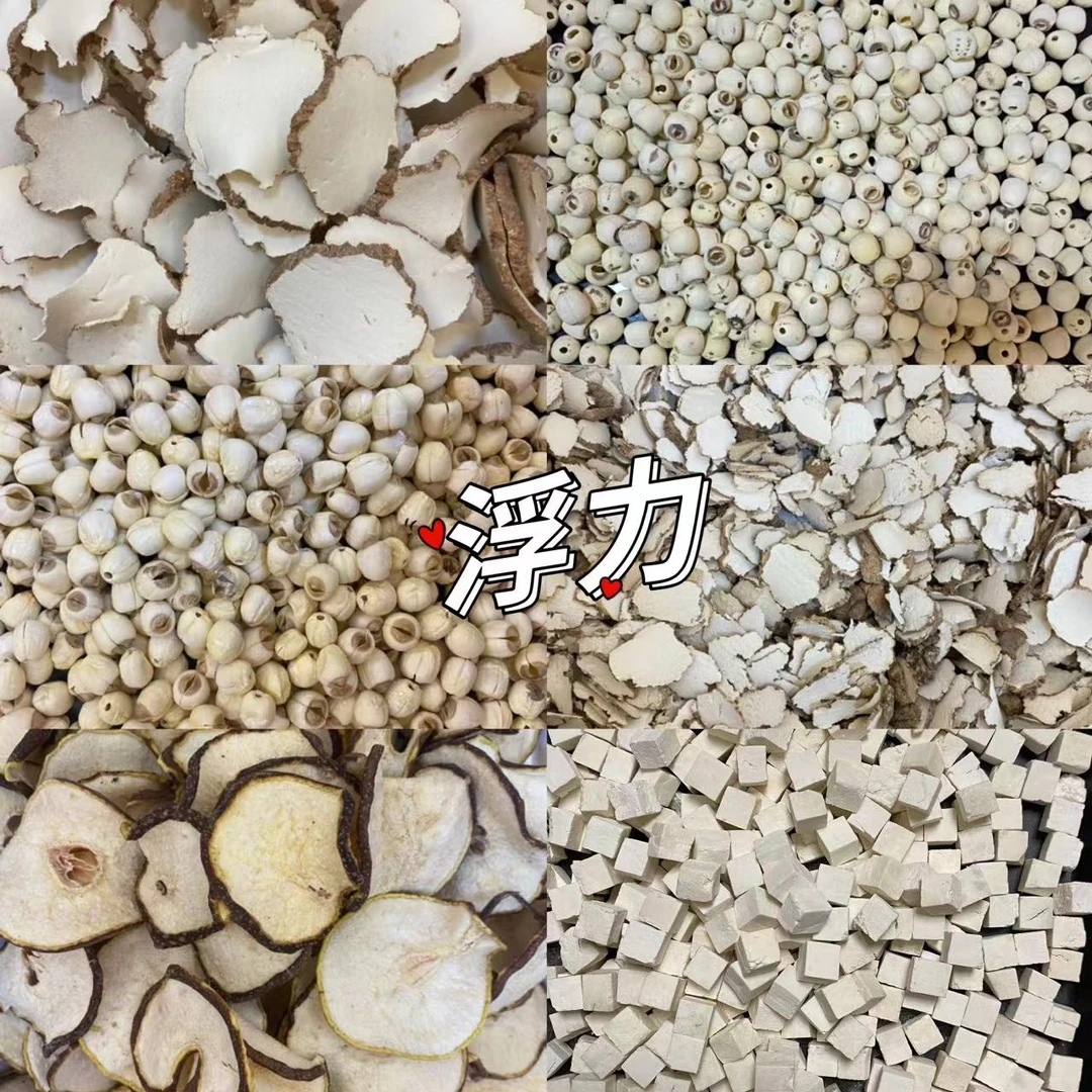 【捡漏】中小唬奶菌 1斤 唬乳菌 可搭红枣煲汤
