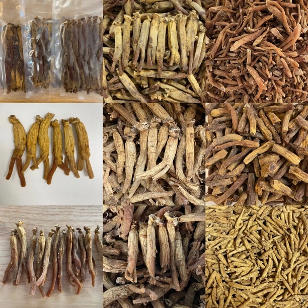 【开市浮力】老高俪参丁  人参