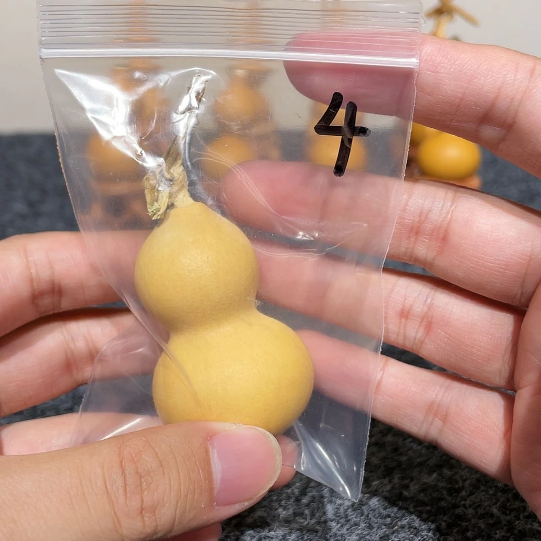 【闪购商品】天然葫芦?*辰