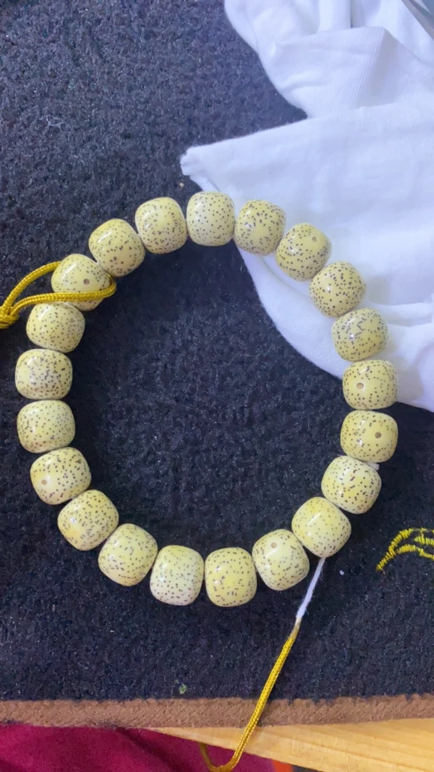 12.11星月菩提原生太顺白小细星