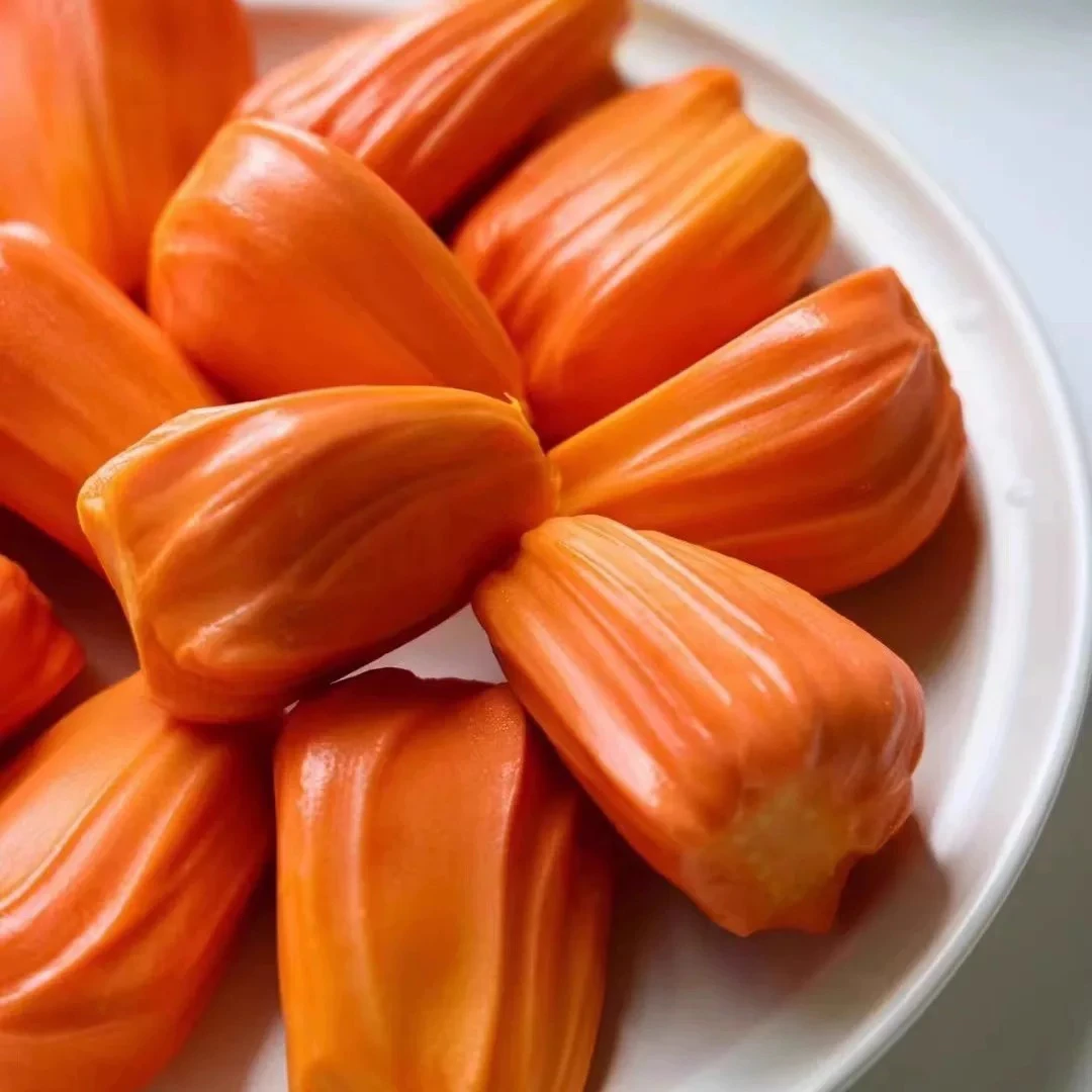 印尼红干苞红肉菠萝蜜(有切口验果)甜甜辨别成熟度再开