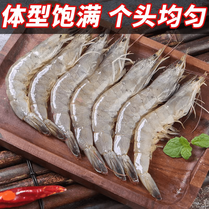 【真心推荐】2030规格 野生海捕大号青对虾 4斤