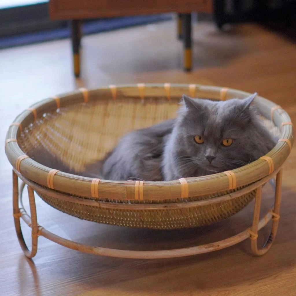 竹编藤编猫窝神器降温四季通用睡觉垫子网红吊床夏天凉窝夏季狗窝
