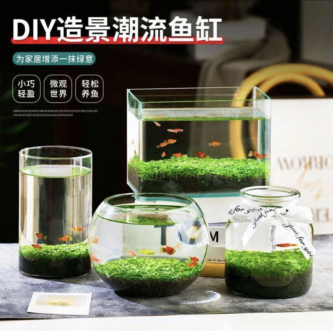 鱼缸水草种子微景观水草泥创意桌面盆栽水培植物玻璃瓶水造景对叶