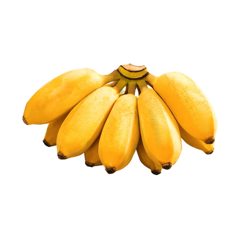 米蕉约500g/份
