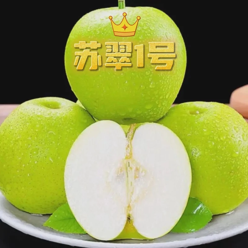 正宗砀山苏翠1号梨5/9斤酥脆香甜个个爆汁应季鲜果现采现发