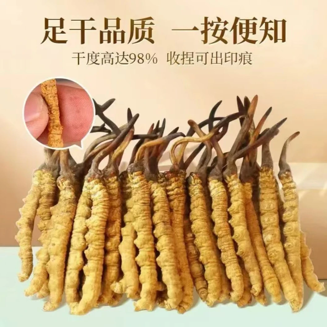 【改价专用】干草高海拔藏区正宗虫草雪山滋补高性价比自用佳品Z