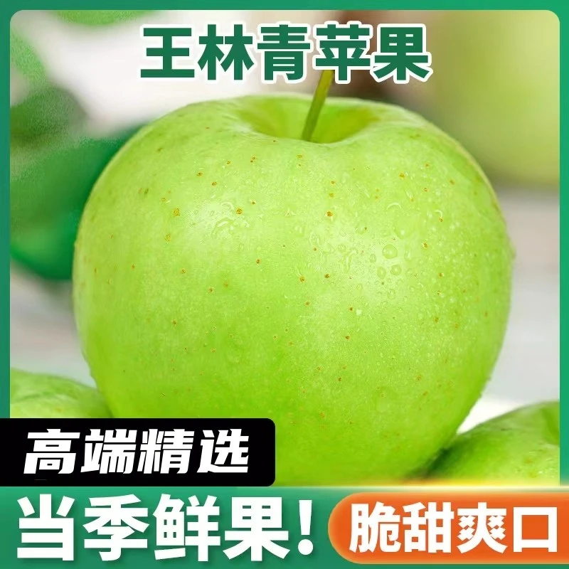 【坏果包赔】正宗王林青苹果雀斑美人脆甜多汁青森苹果新鲜水果包邮