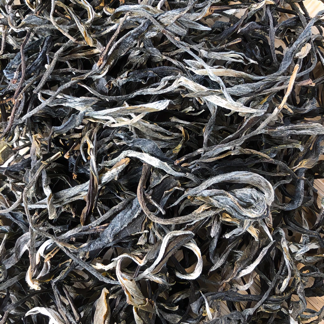 【云南普洱茶生茶】【百花潭】易武茶区2024古树头春春茶散茶(蜜兰香)