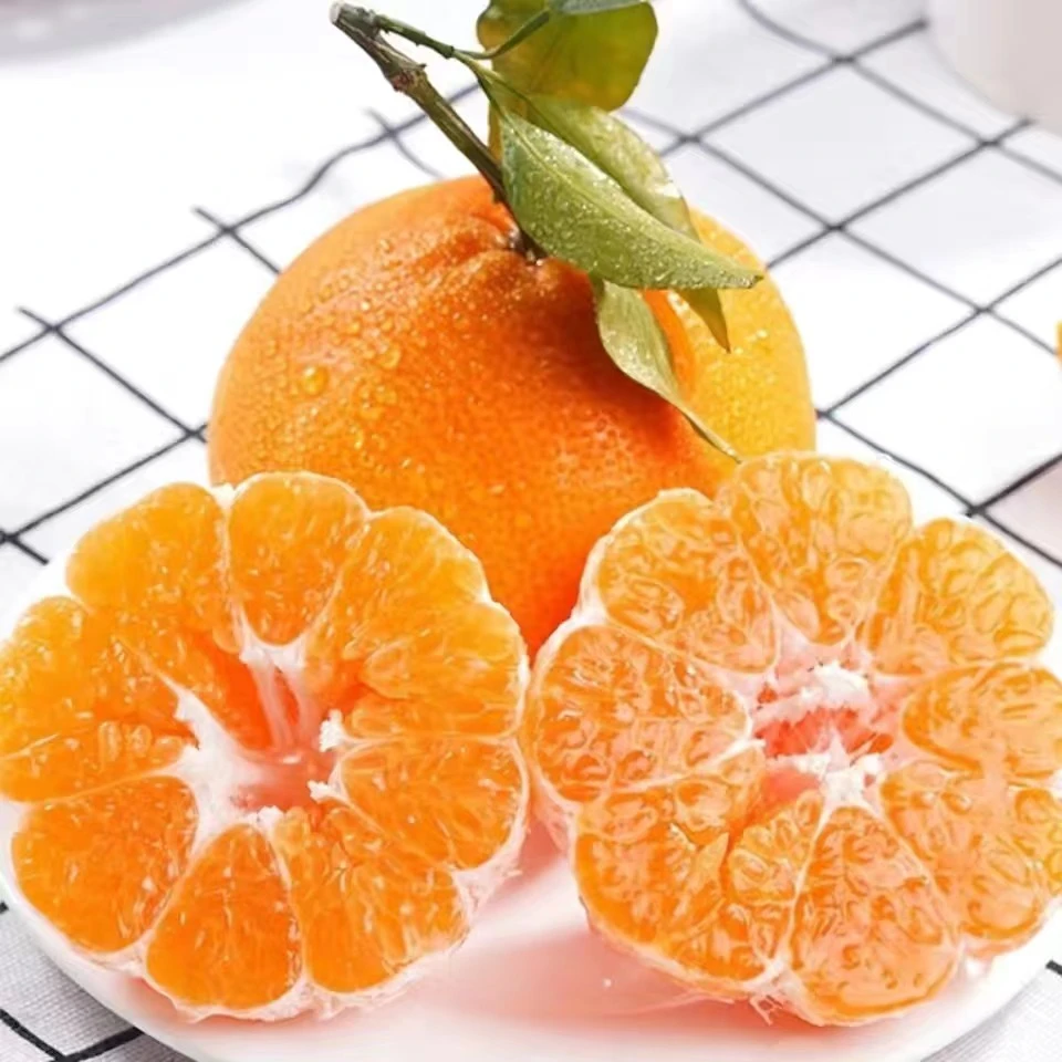 四川正宗新鲜现摘现发耙耙柑皮薄无籽手剥春见耙耙柑酸甜可口美味