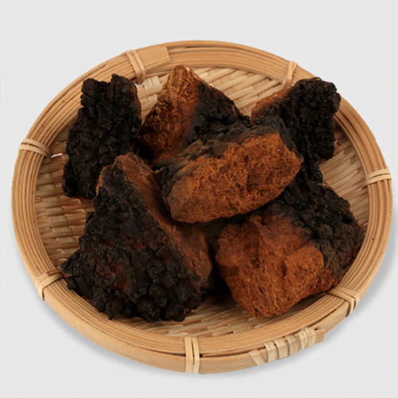 吉泽林 长白山天然桦树茸W