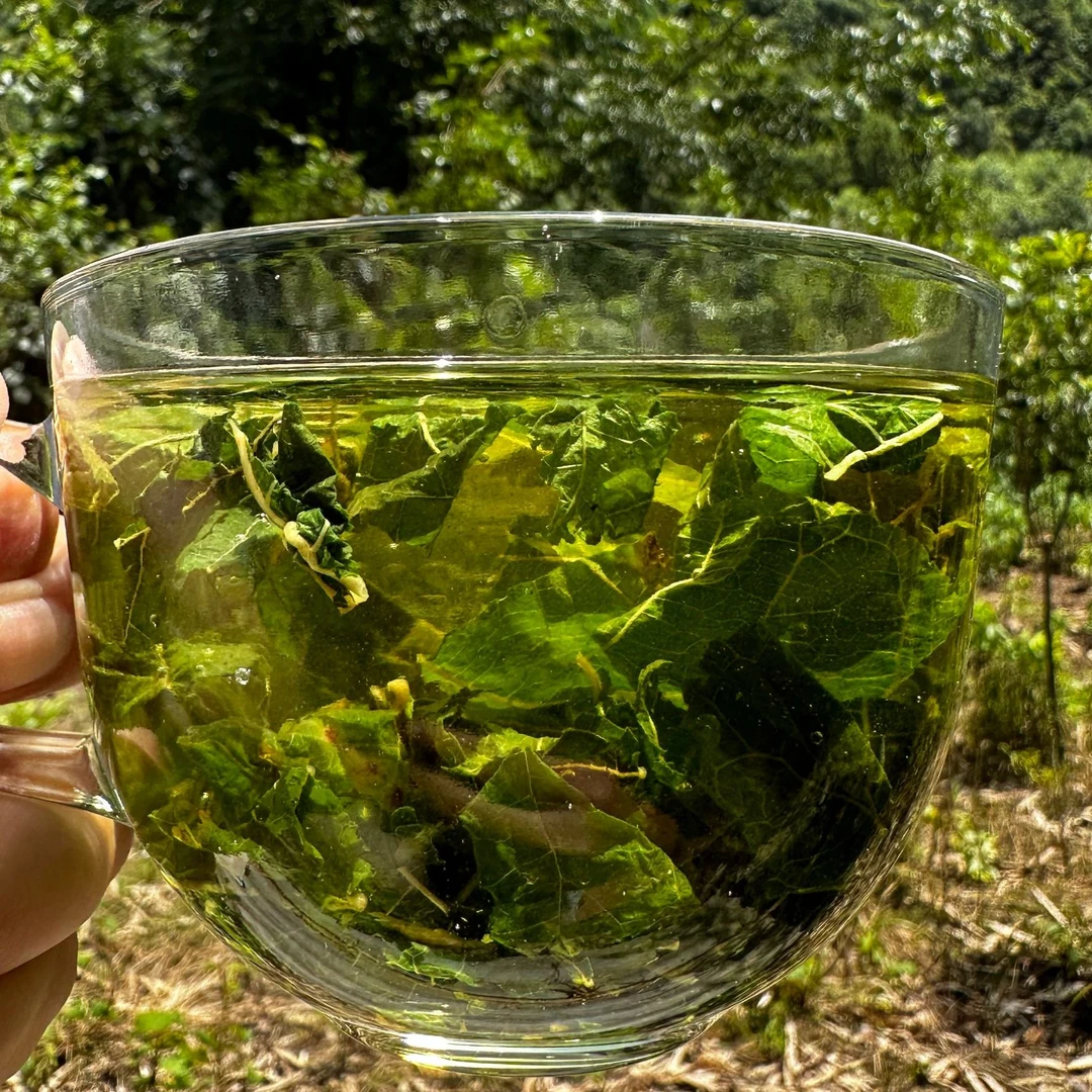 2【桑-邺-疀】 菌 净含量500g-1000g【啊琦现收】