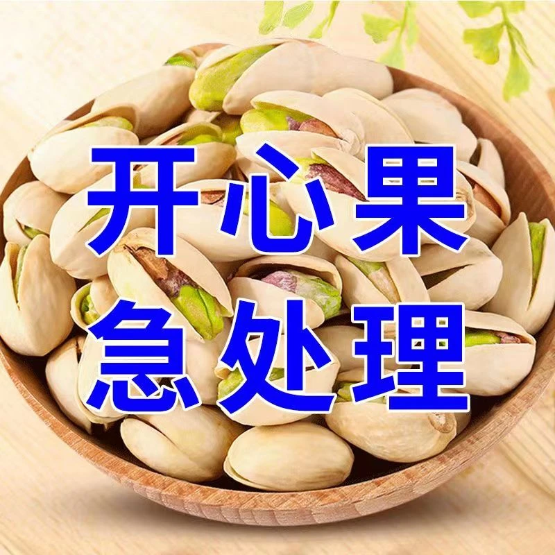 【首单立减】开心果不漂白干果坚果休闲零食批发大礼包10g