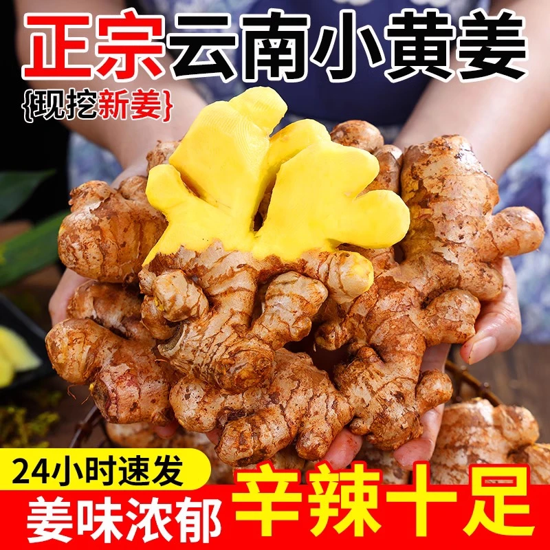 【次日达】小黄姜带泥发货