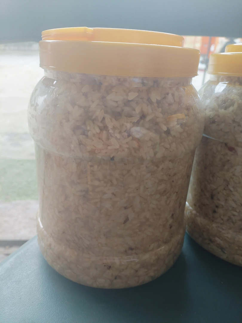 江西传统酒糟3斤装包邮