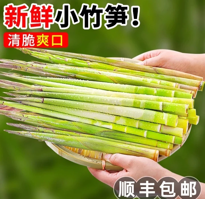 江西农家野生新鲜小竹笋6斤