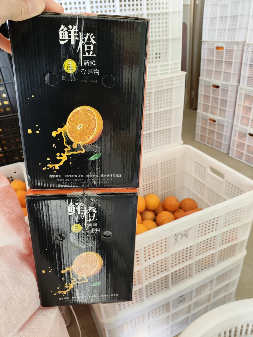 橙子 超大果 9-9.8斤