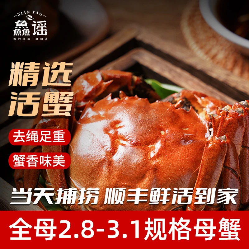 【活蟹】3.1-2.8两拍6只送2只精品全母大闸蟹顺丰包邮