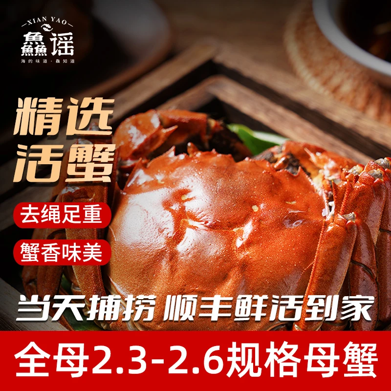 【活蟹】6只母蟹送2只2.6-2.3两精品全母大闸蟹顺丰包邮