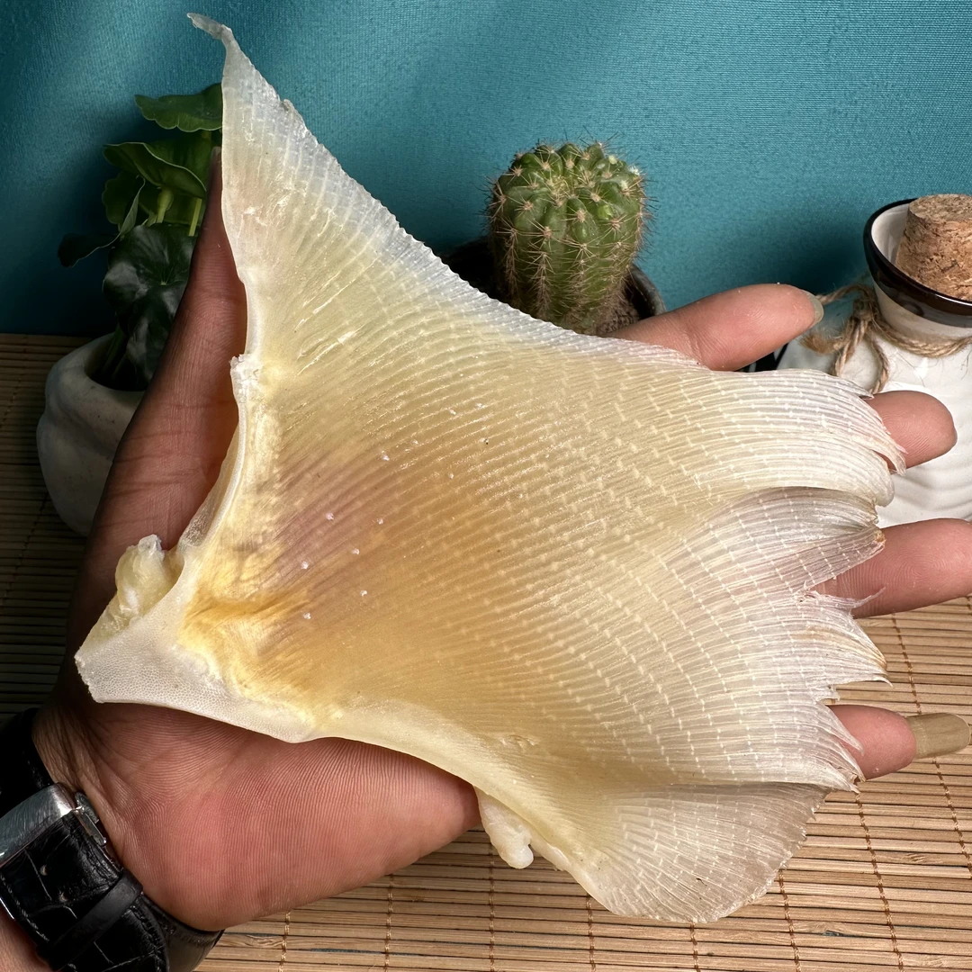 海刺干500克 浦鱼刺 小刺刺