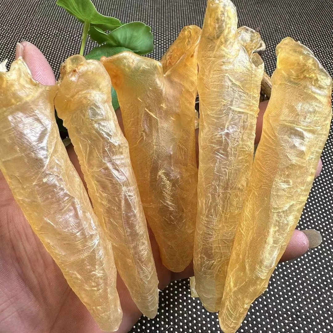 75-80头黄花筒 250克-500克 老胶鱼胶花胶 煲汤炖汤炖奶花胶奶冻