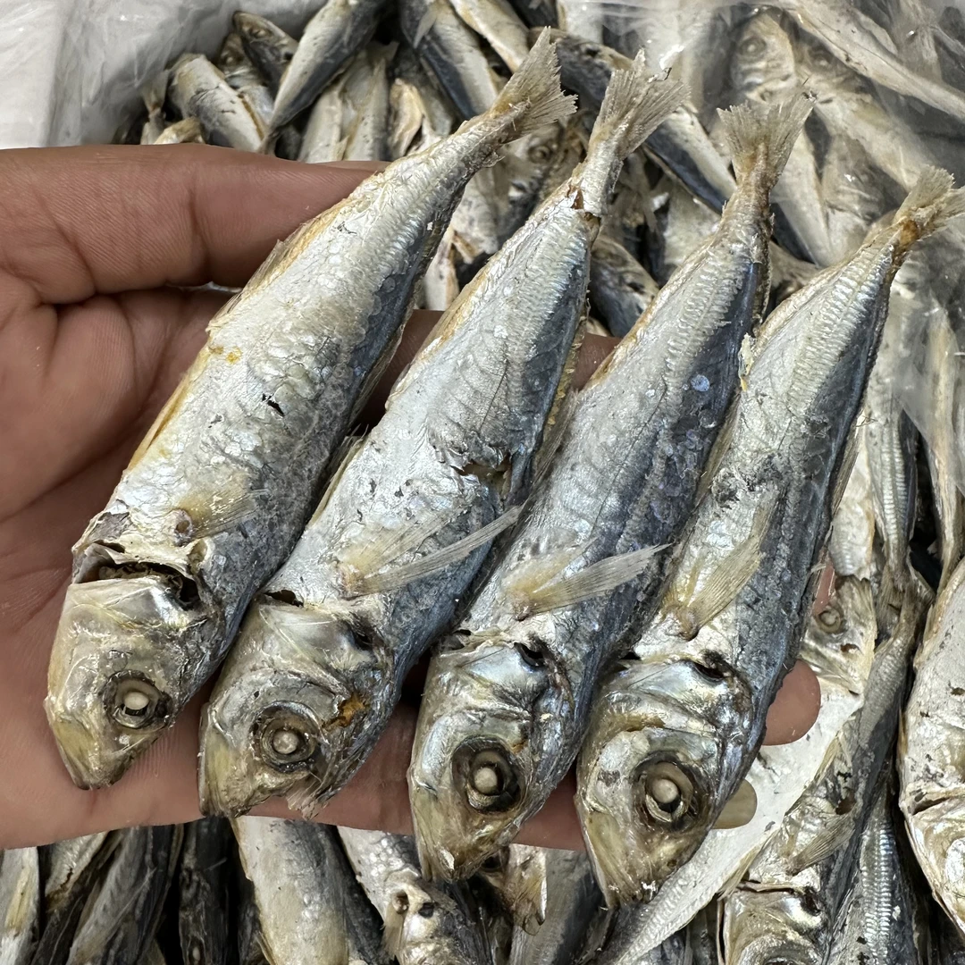 阳江特产本港巴浪鱼干250-500克 海产干货肉质紧实鲜香