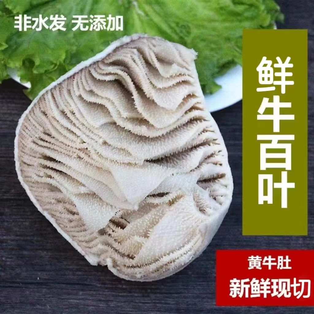 【牛百叶】云南土黄牛原切新鲜牛百叶
